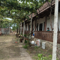 363858268 954668492305185 7666002225376043425 n